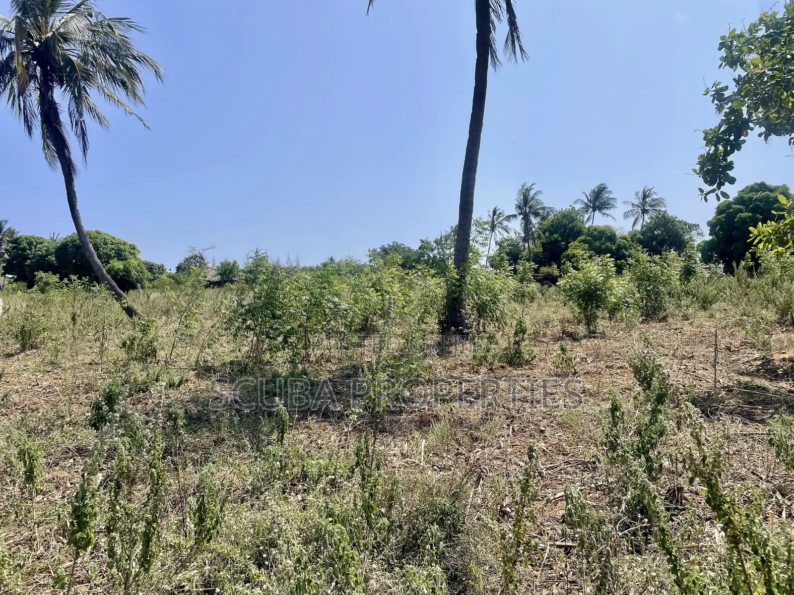 Prime Quarter-Acre Plot for Sale in Kizingo – Invest in the Future