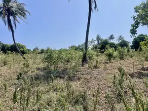 Prime Quarter-Acre Plot for Sale in Kizingo – Invest in the Future
