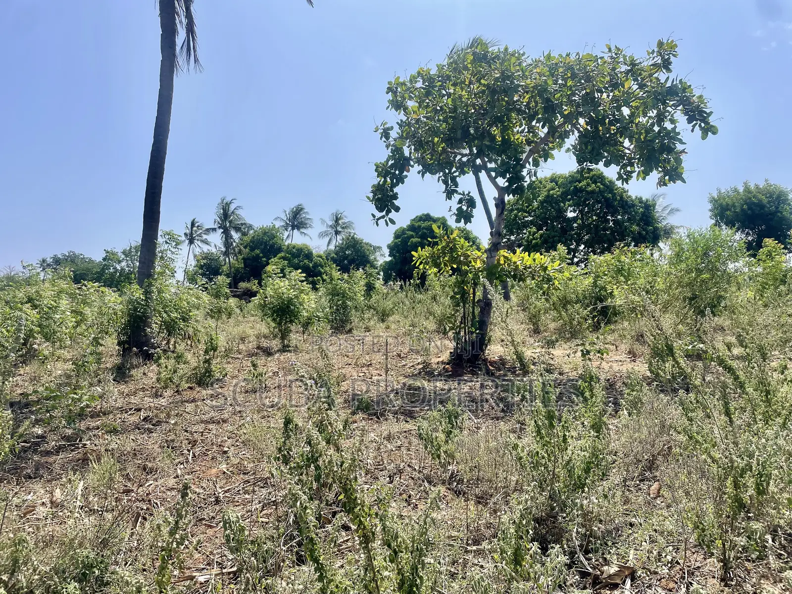 Prime Quarter-Acre Plot for Sale in Kizingo – Invest in the Future