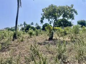 Prime Quarter-Acre Plot for Sale in Kizingo – Invest in the Future