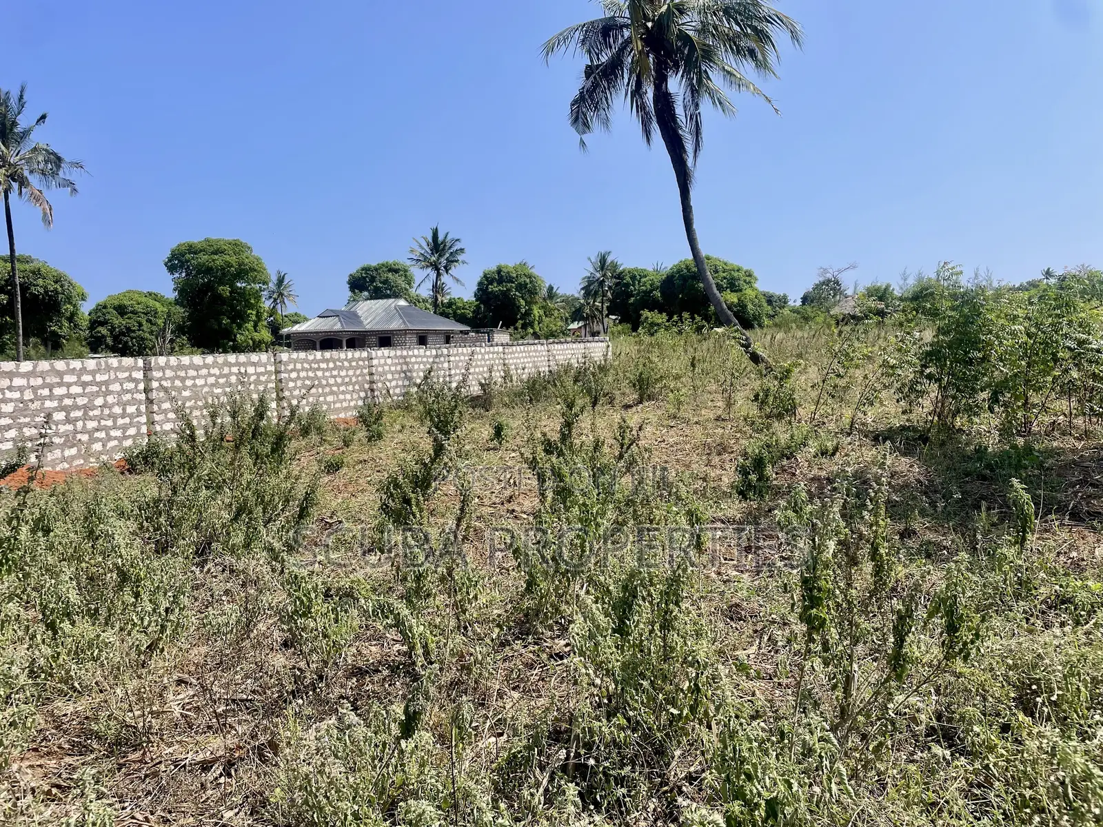 Prime Quarter-Acre Plot for Sale in Kizingo – Invest in the Future