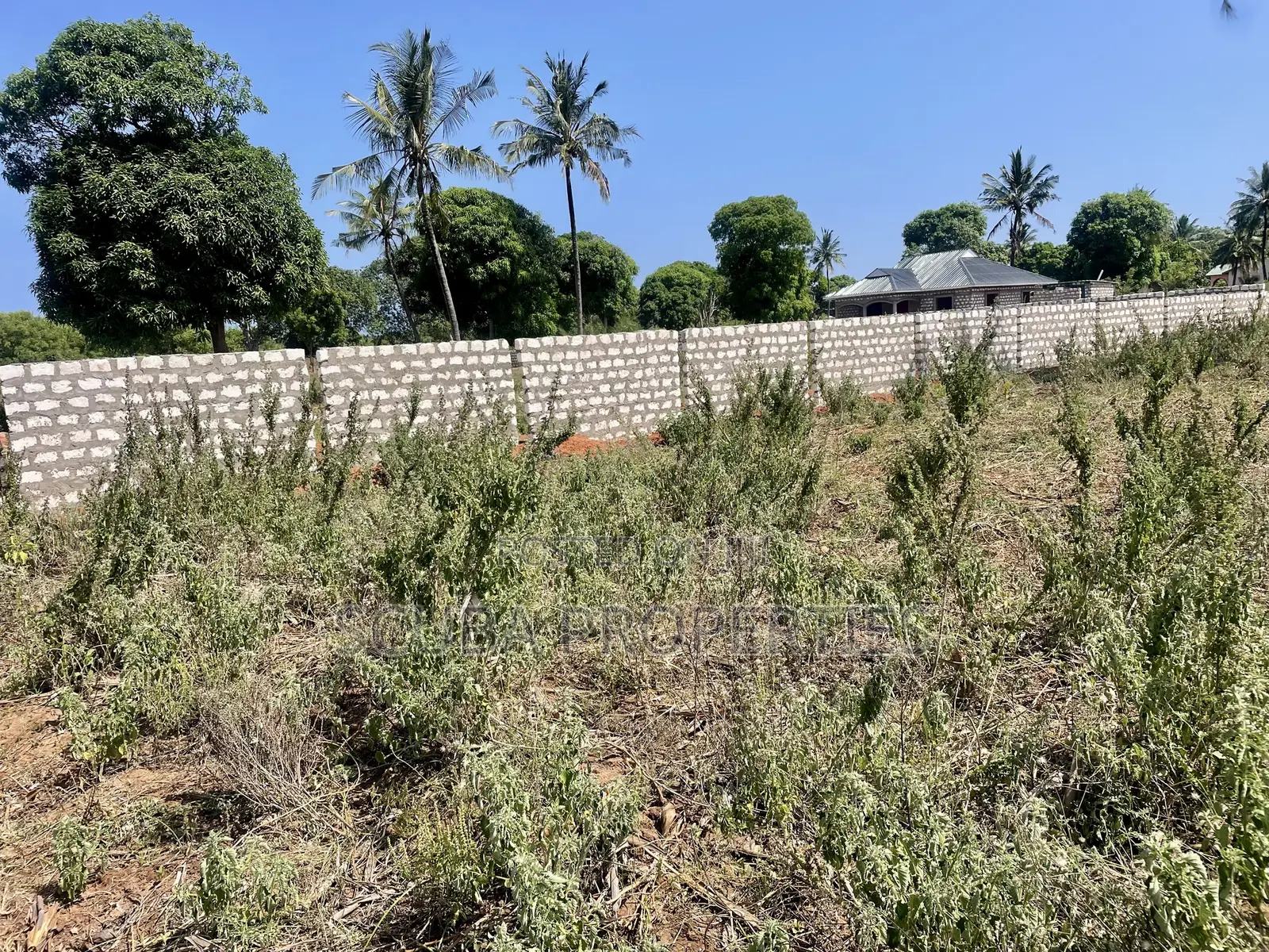 Prime Quarter-Acre Plot for Sale in Kizingo – Invest in the Future