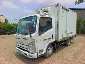 Isuzu ELF 2010 for Sale