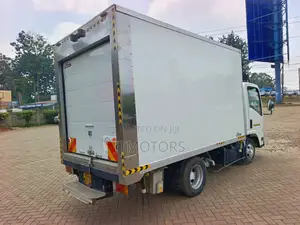 Isuzu ELF 2010 for Sale