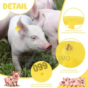 High-Quality Farm Ear Tag