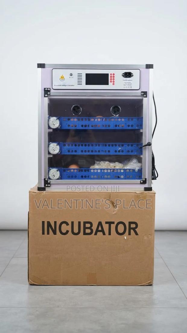 204 Eggs Automatic AC/Dc Incubator