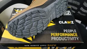 Hillson Safety Shoes