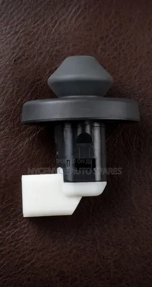 Door Switch