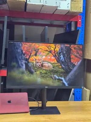 LG 27inch Monitor