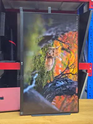 LG 27inch Monitor