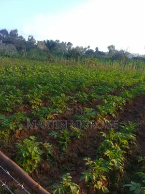 1⁄2 Acre Muguga