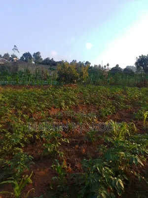 1⁄2 Acre Muguga
