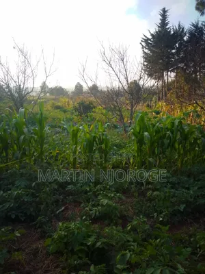 1⁄2 Acre Muguga