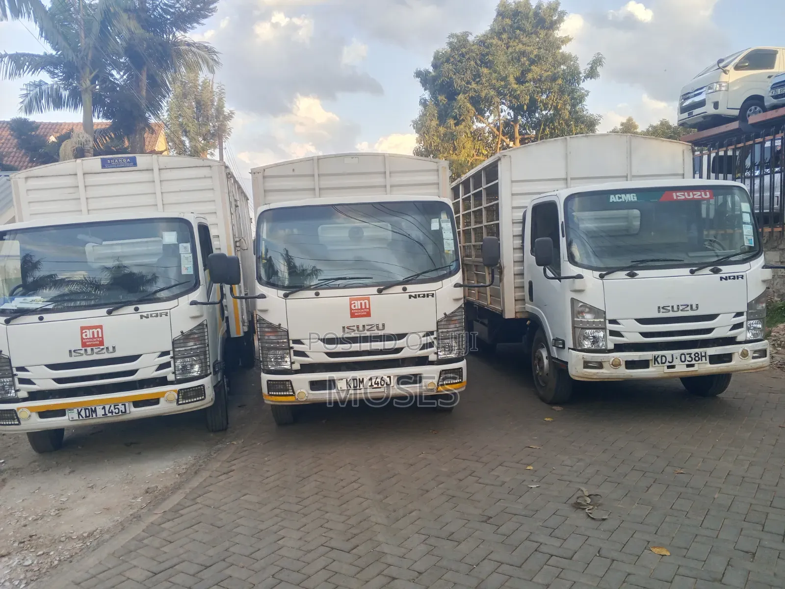 Isuzu NQR Short