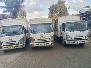 Isuzu NQR Short