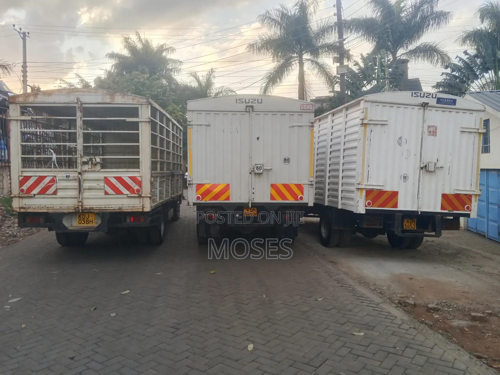Isuzu NQR Short