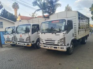 Isuzu NQR Short