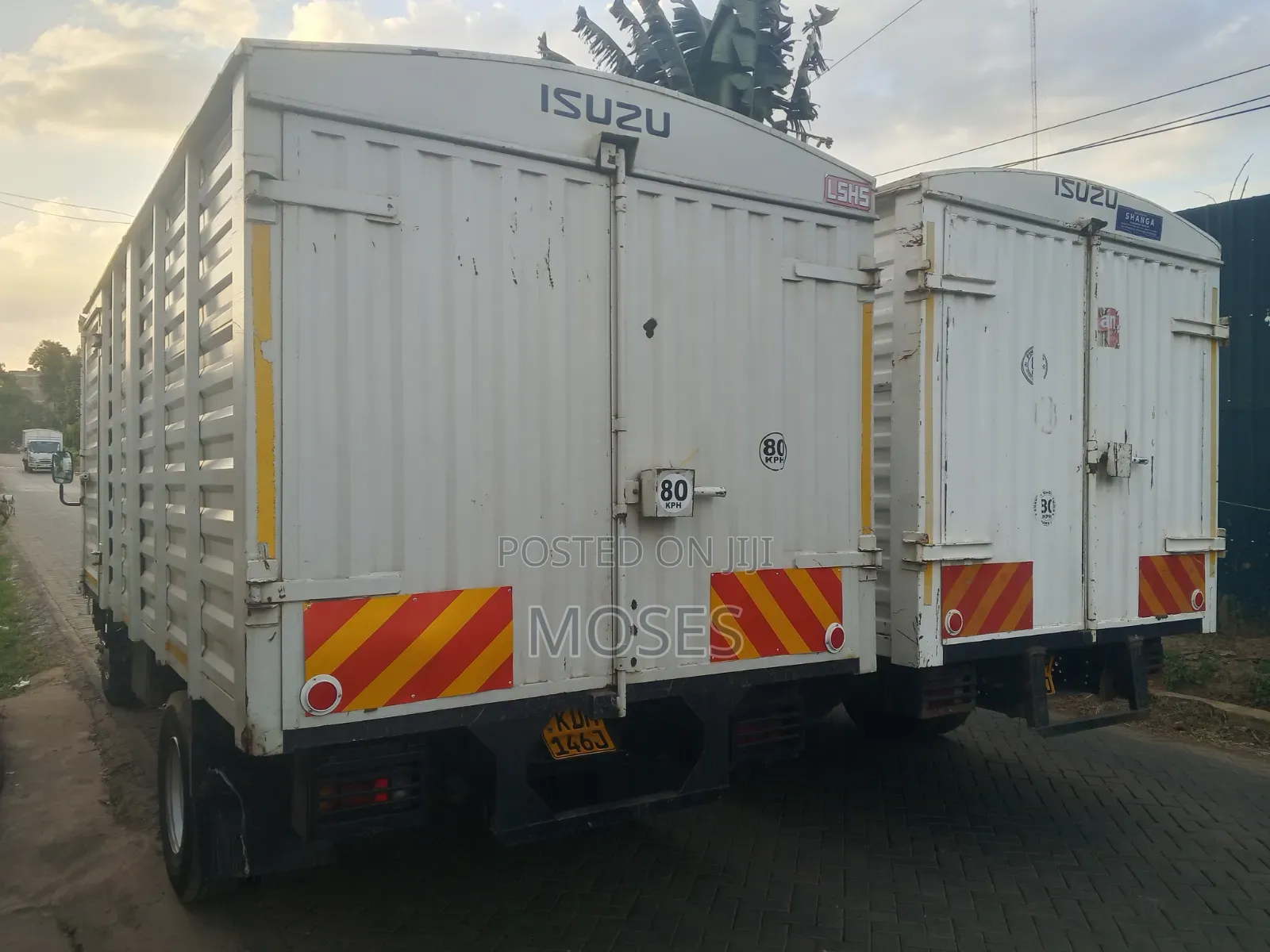 Isuzu NQR Short