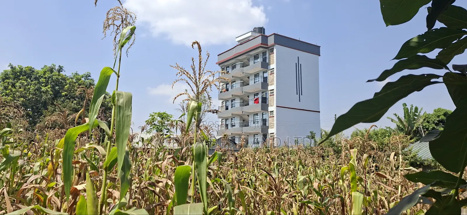 75×100 Plot for Sale – Kabete Gathiga