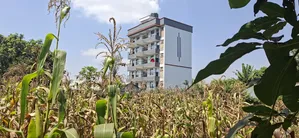 75×100 Plot for Sale – Kabete Gathiga