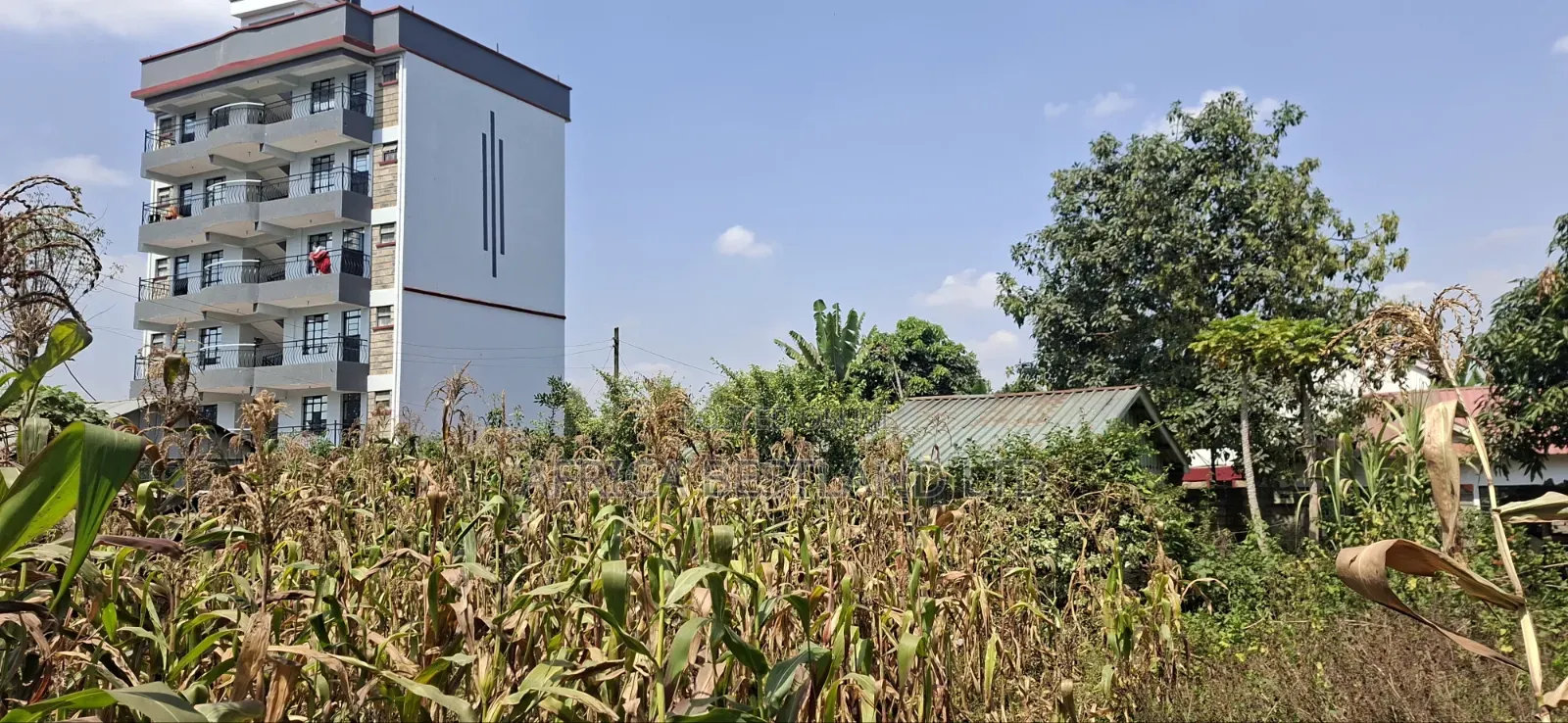 75×100 Plot for Sale – Kabete Gathiga
