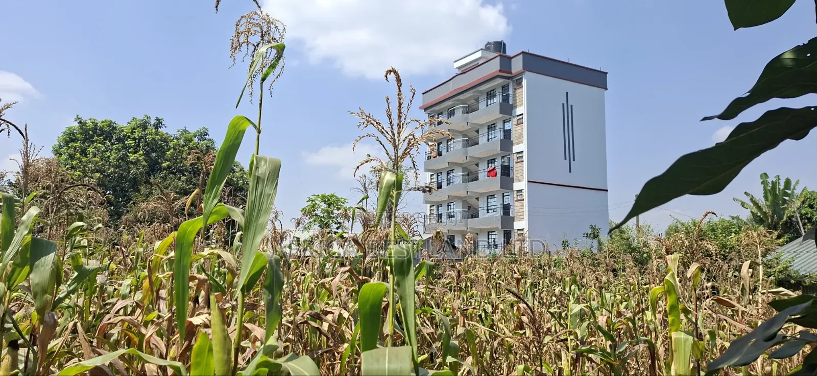 75×100 Plot for Sale – Kabete Gathiga
