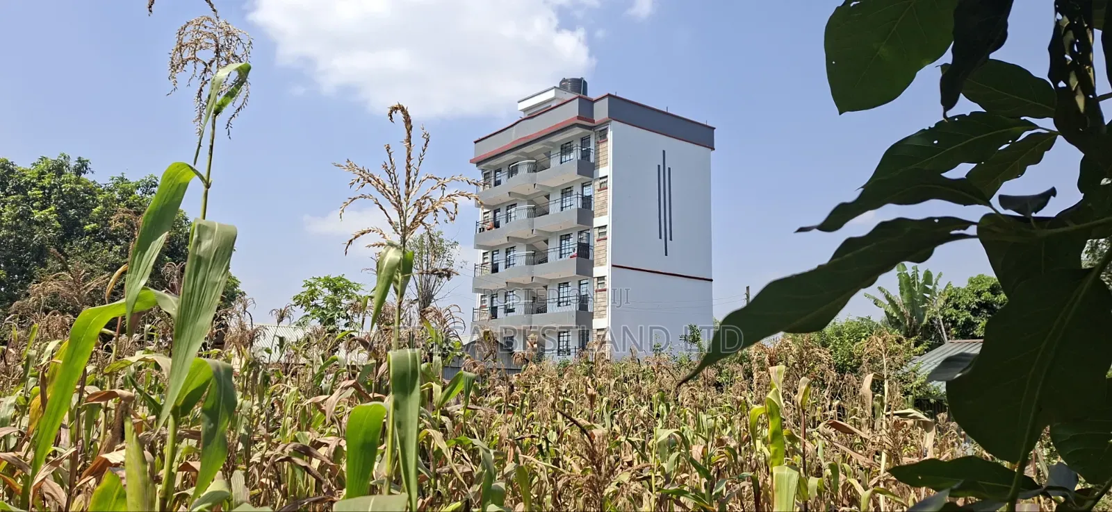 75×100 Plot for Sale – Kabete Gathiga