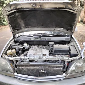 Lexus RX 300 2WD 2002 Silver