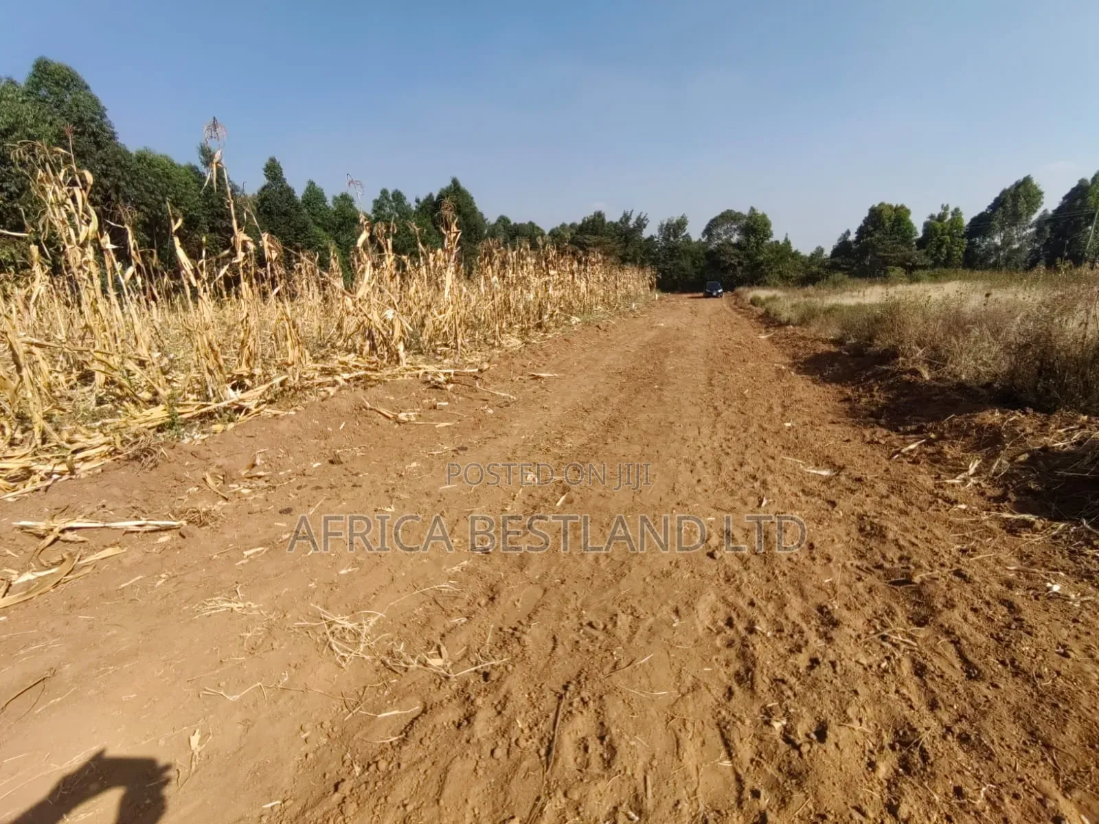 Writing 50×100 Plots for Sale – Kikuyu Kamangu (Ndigiuni)