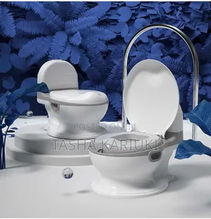Toddler Potty Training Seat – Safe Comfortable