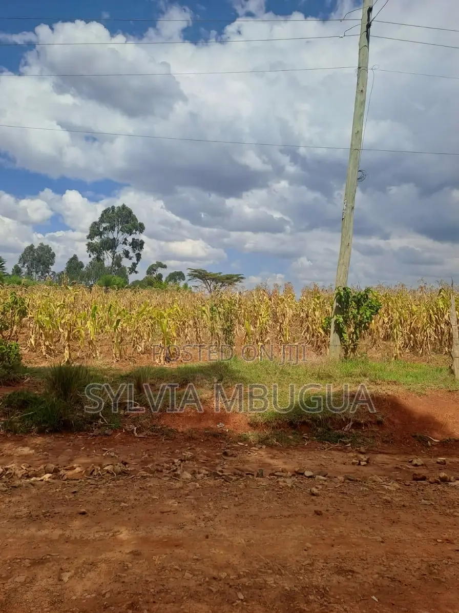Prime 50 \100 Plot for Sale in Gwakung'u – 300m Off Highway