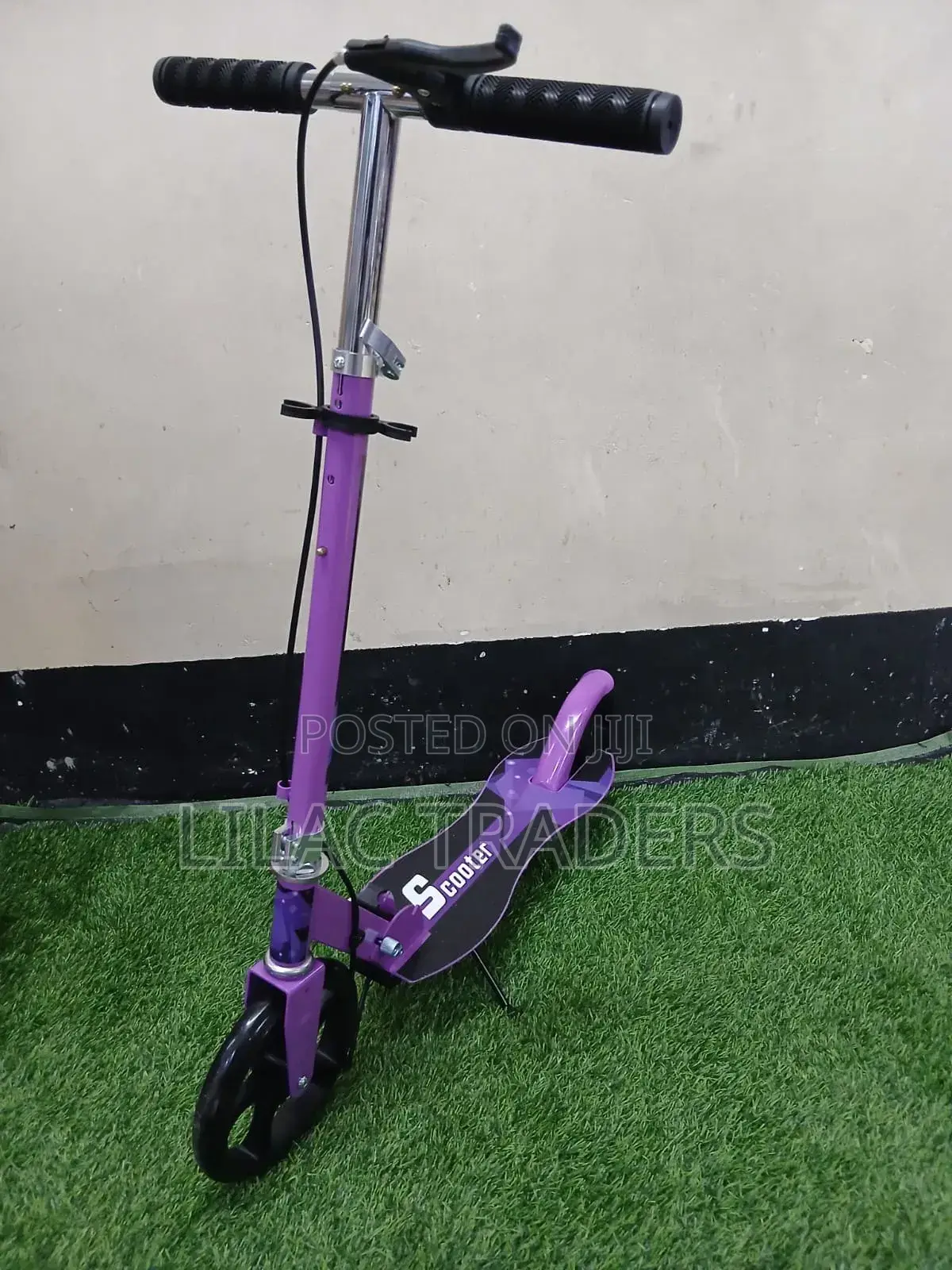 Foldable Metallic Scooter