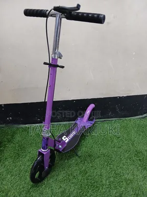 Foldable Metallic Scooter