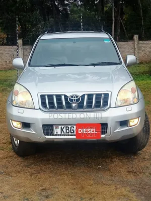 Toyota Land Cruiser 2005 Silver
