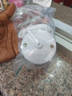 Ceiling Pull Cord Switches