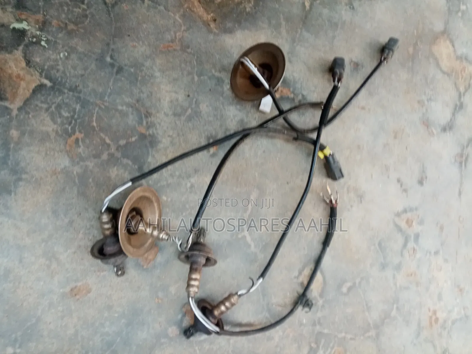 Probox Oxygen Sensors