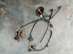 Probox Oxygen Sensors