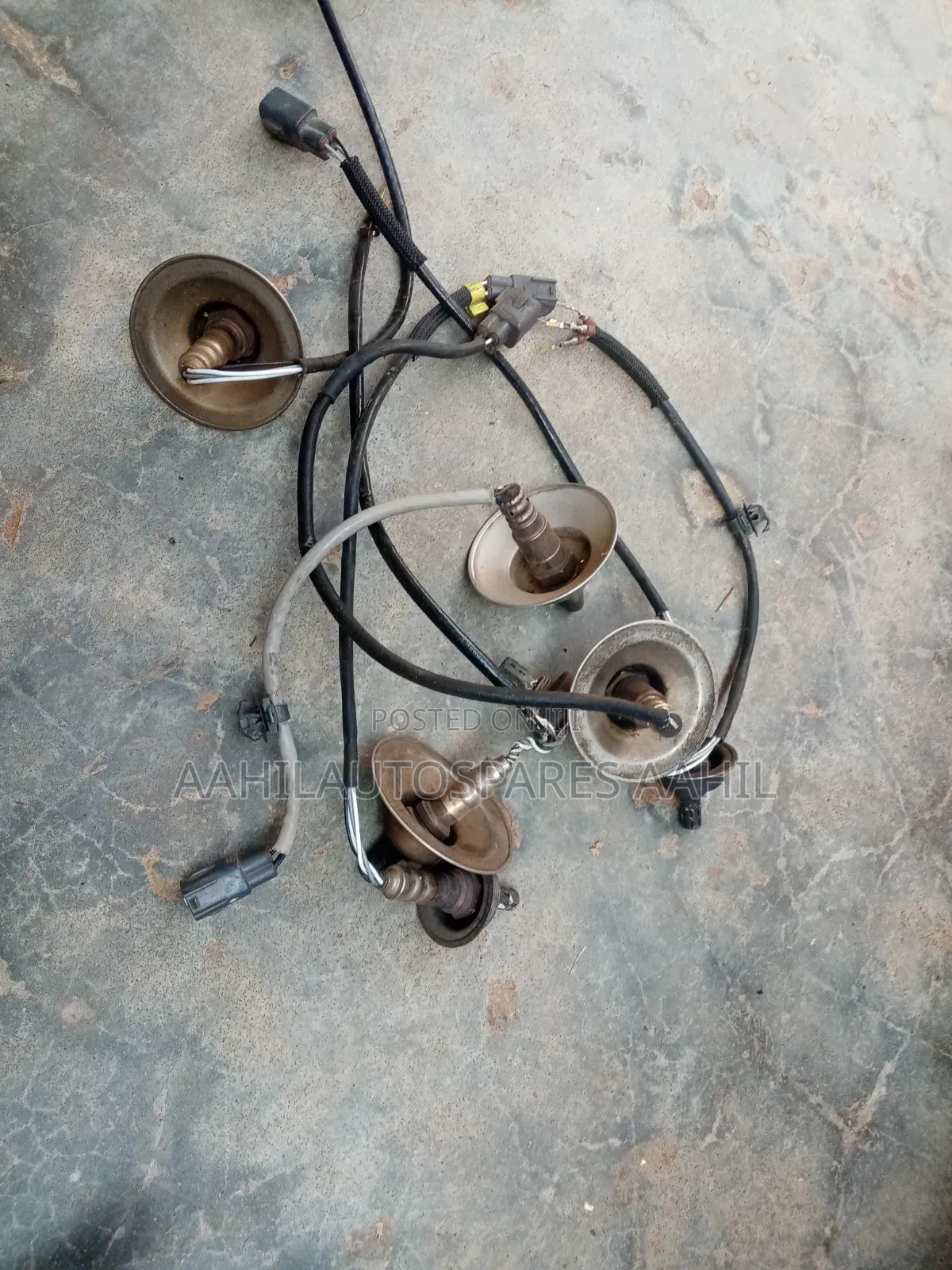 Probox Oxygen Sensors