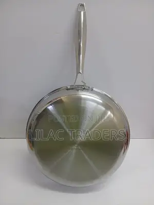 Stainless Steel Frying Pan 2.4l Alph