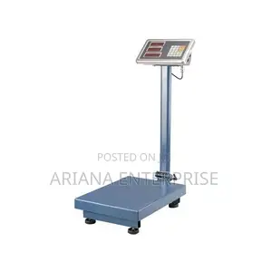 100Kg High Precision Digital Weighing Scale
