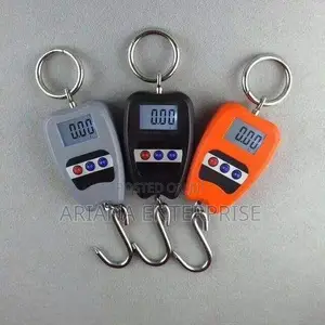 Portable Mini Crane – Digital Hanging Scale 200kg