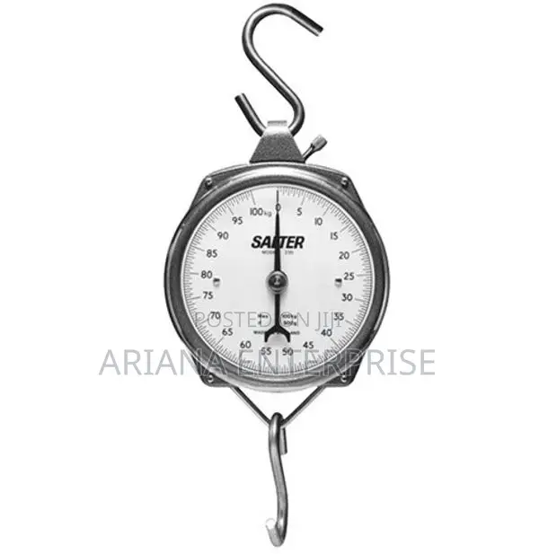 Salter Hanging Scale