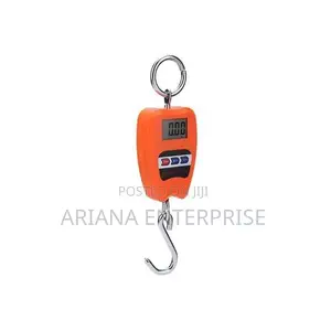 Portable Mini Crane – Digital Hanging Scale 200kg