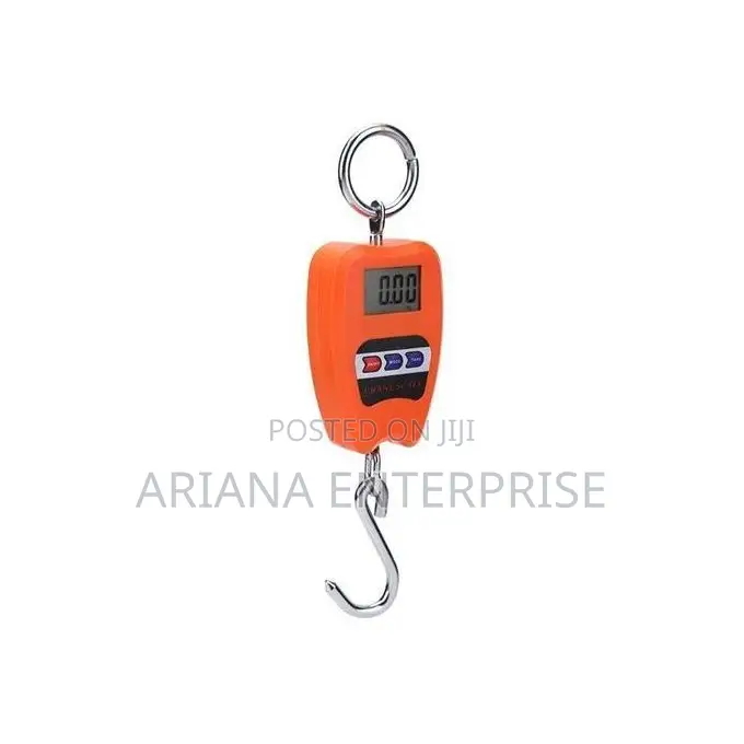 Portable Mini Crane – Digital Hanging Scale 200kg