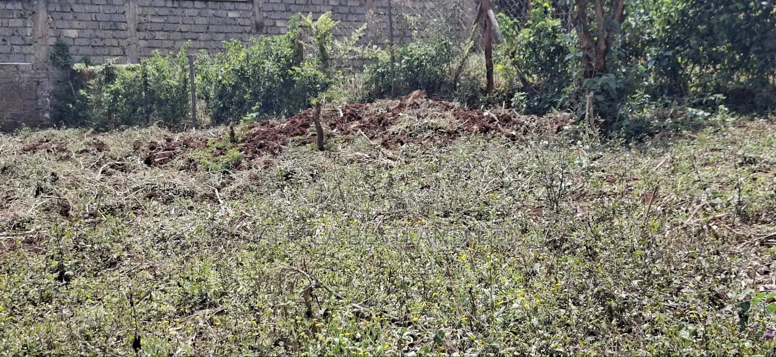 75×100 Plot for Sale – Kabete Gathiga