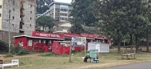 100×100 Plot for Sale – Kikuyu Thogoto |