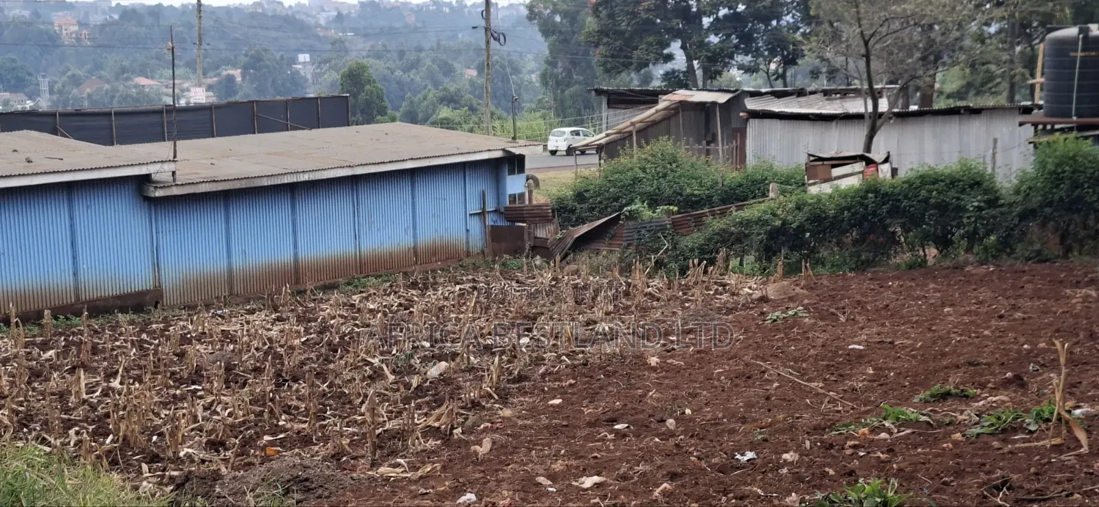 100×100 Plot for Sale – Kikuyu Thogoto |