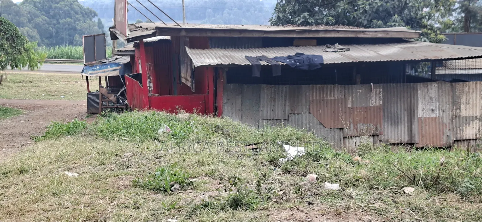 100×100 Plot for Sale – Kikuyu Thogoto |