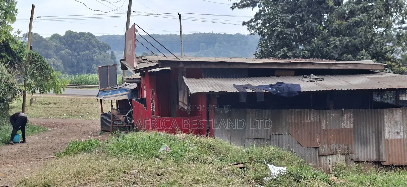 100×100 Plot for Sale – Kikuyu Thogoto |