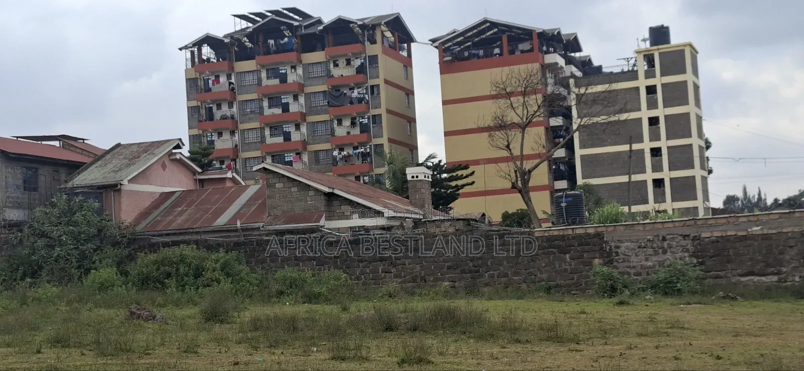 100×100 Plot for Sale – Kikuyu Thogoto